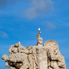 Fototapeta na wymiar seagulls above the monuments of Rome.