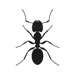 Ant icon. Black Silhouette of an ant. Insect logo. Vector illustration.