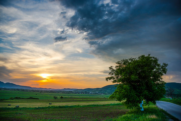 Springtime landscape