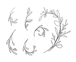 Fototapeta na wymiar Botanical set illustration on white background 