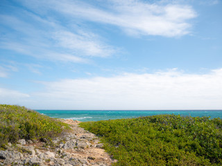 Fototapeta na wymiar A beautiful day on the walking trails of Guanica Reserve in Puerto Rico, USA