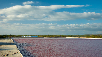 In Puerto Rico’s southwest corner, Cabo Rojo, tons of salt are extracted from seawater annually.