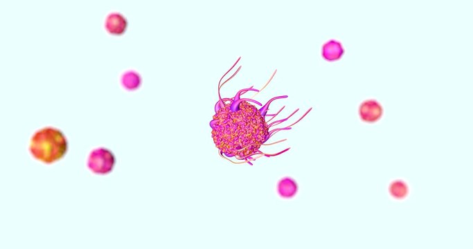 Immune Cell T-cell immune system concept immunotherapy treatment in cancer metastasis 