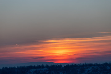 Sky