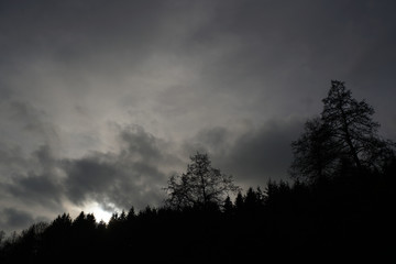 Gloomy landscapes with dark trees photographed on a murky stormy winter afternoon in Germany