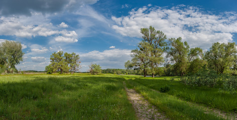 Fototapeta na wymiar Landscape panorama with road and meadow