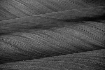 Black and White Wavy  autumn fields in Moravian Tuscany, Czech Republic