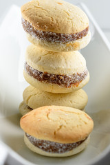 Delicious Argentinian cookies alfajores with cream dulce de leche close-up on the plate. White vanilla macaroons on white background. French delicate dessert for Breakfast in the morning light.