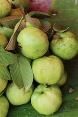 Guava fruit is delicious at street food