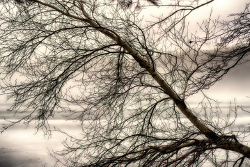 Burr Pond State Park Winter landscape