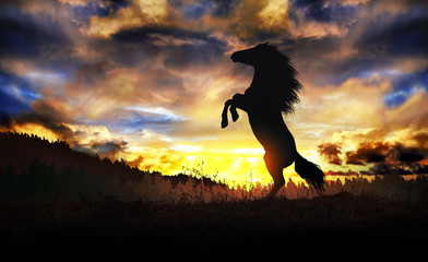 Rearing stallion and dramatic dusk sky over mountain
