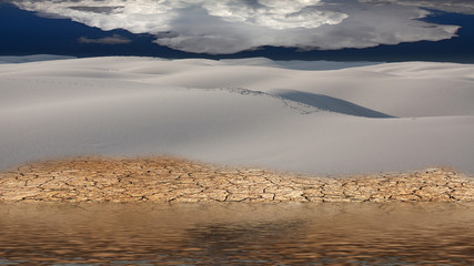 Desert Flood