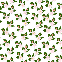 pattern with flowering tree branches on green background. Endless texture decoration with white flowers and flying petals.