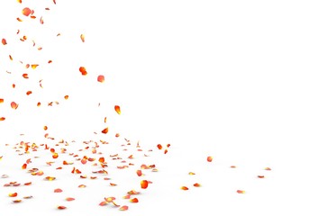 Small rose petals fly and fall to the floor