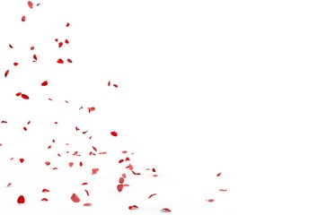 Small rose petals fly and fall to the floor