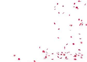 Small rose petals fly and fall to the floor