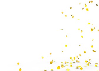 Small rose petals fly and fall to the floor