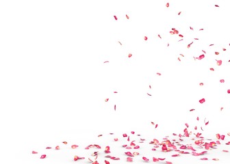 Small rose petals fly and fall to the floor