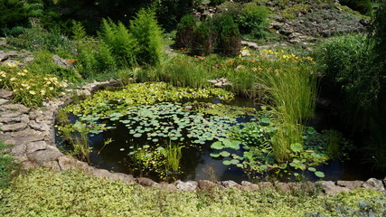 waterfall in japanese garden