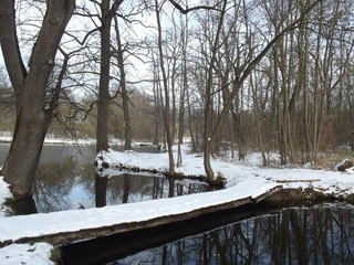 Lake in winter near Tengelic, Hungary