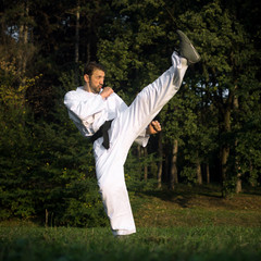 high kick martial arts