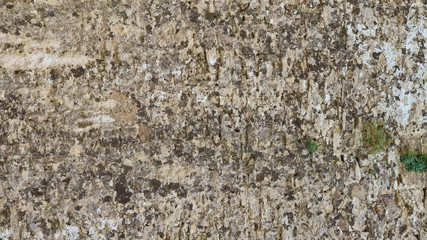 Old stone wall