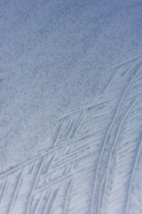 Fototapeta premium Close up of abstract patterns of ice forming on a frozen windshield