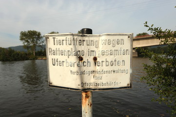 Konz, Zusammenfluss Saar - Mosel
