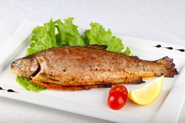 Grilled trout