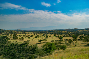 Fototapeta na wymiar Uganda savannah