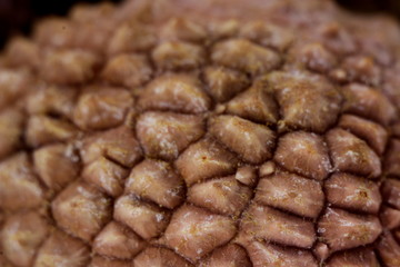 Lychee Peel at Maximum super Macro Magnification