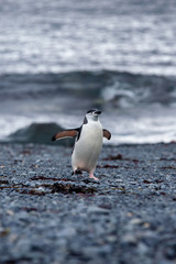 Antartica Expedition