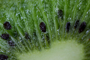 juicy kiwi in the maximum increase in the macro section