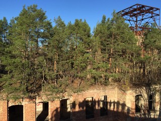 Beelitz