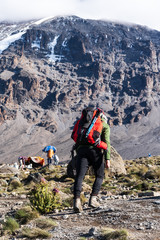 Hikers climbing to the summit of Kilimanjaro