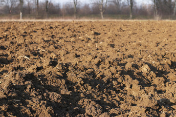 Freshly plowed land. A brownish relief texture. Loose soil for planting. Agriculture. Agricultural business. Technology of food cultivation. Spring field work. Farm lands. The quality of the land