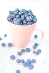 Fresh raw organic farm blueberry in pink cup on white wood background