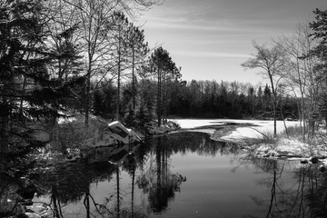 reflection of trees in the water in winter, ice, snow