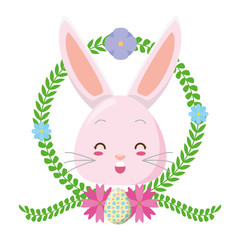cute rabbit face cartoon