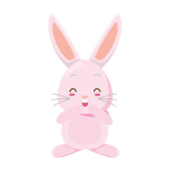 cute rabbit cartoon