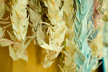 Origami cranes colorful