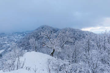 Winter landscape 