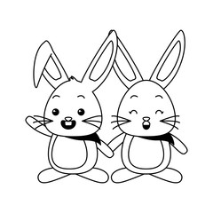 cute couple rabbit