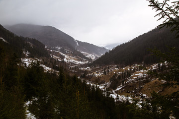 Winter travel landscape  in the mountains