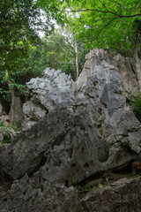 巨石とジャングル