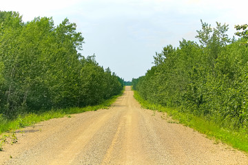 Fototapeta na wymiar A long straight gravel road in the summer