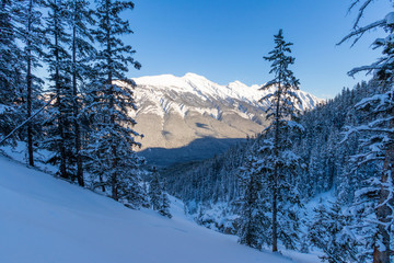 Fototapeta premium The Banff Sightseeing Gondola is located just 5 minutes from the Town of Banff, on the shoulder of Sulphur Mountain, in the heart of the Canadian Rockies