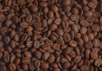 Fresh Roasted Coffee beans