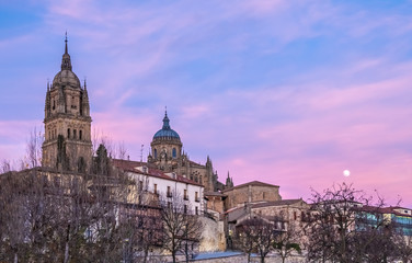 The joined cathedrals of Salamanca (Old and New Cathedral), Castile-Leon, Spain. The old cathedral (12-14 c. centuries -Romanesque and Gothic). New Cathedral (16-18 c. ^ate Gothic and Baroque)