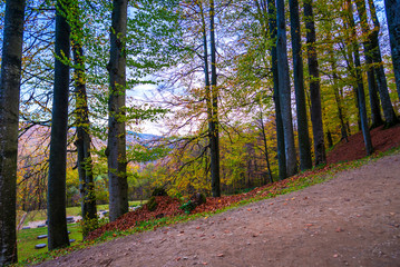 Autumn landscape in orastie Mountains, Sarmisegetusa, Romania